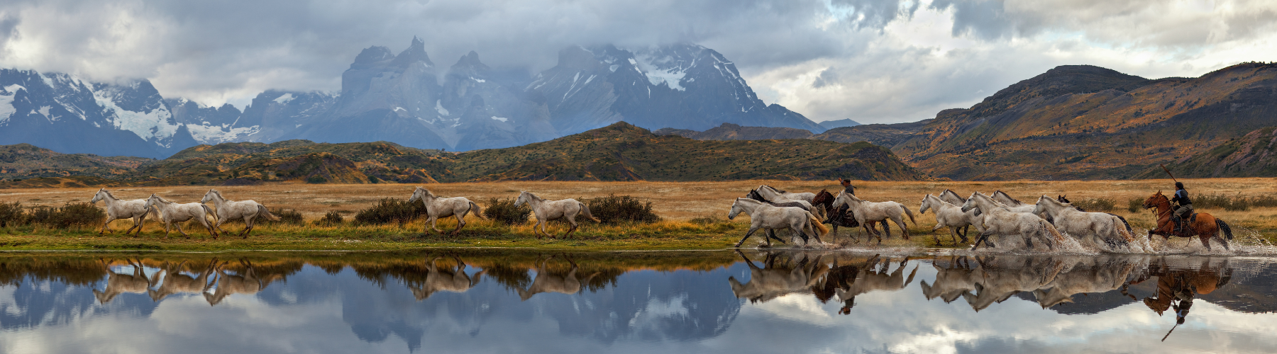 A photo of Argentina: Best Wine Tasting Tours and Top Winery Visits