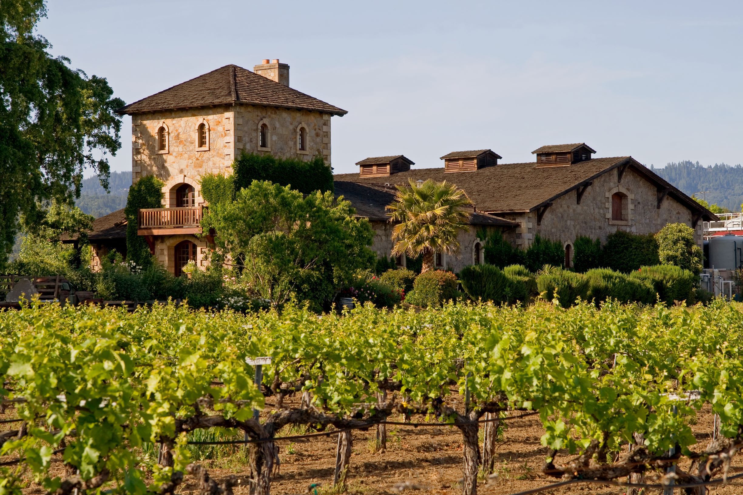 A photo of The Best Wine Tasting Tours in Napa Valley.