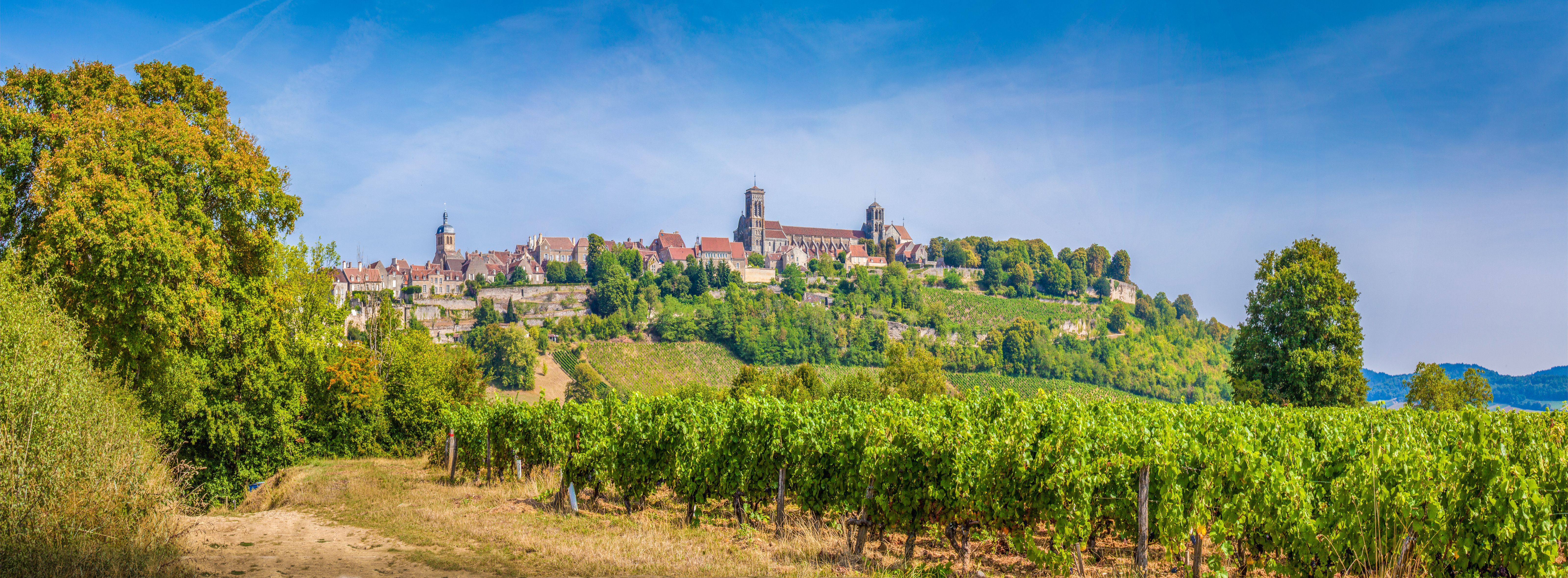 A photo of The Best Wine Tasting Tours in Burgundy.