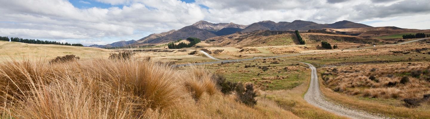 A photo of The Best Wine Tasting Tours in Central Otago