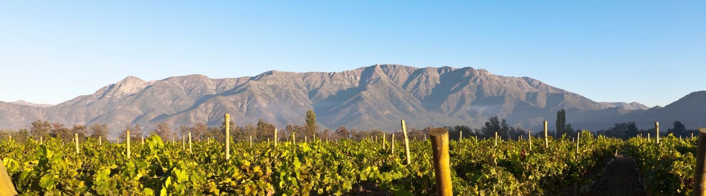 A photo of Maipo Valley Wine Tasting & Vineyard Tours From Santiago