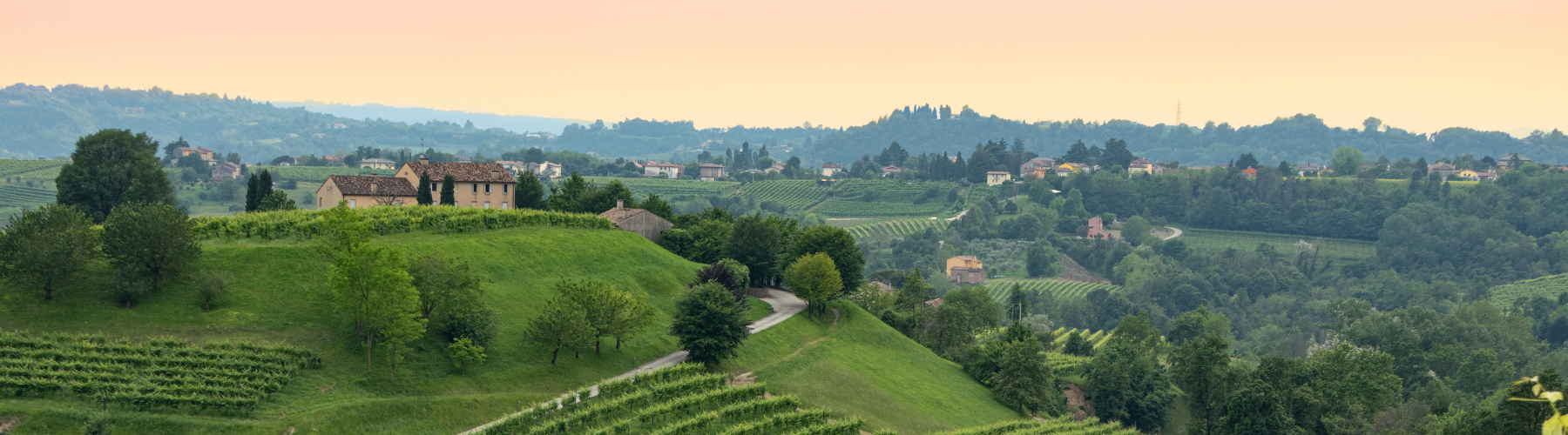 A photo of Veneto wine tasting tours & winery visits, private & tailor-made