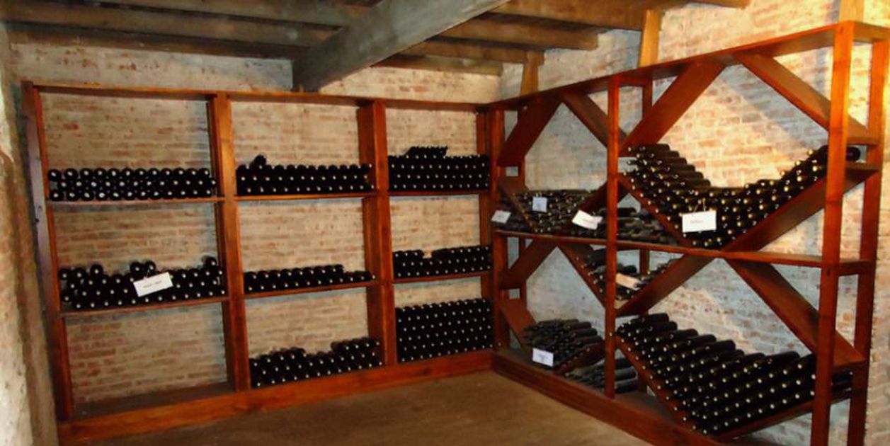 Visit 3 completely different wineries in the Carmelo wine region and