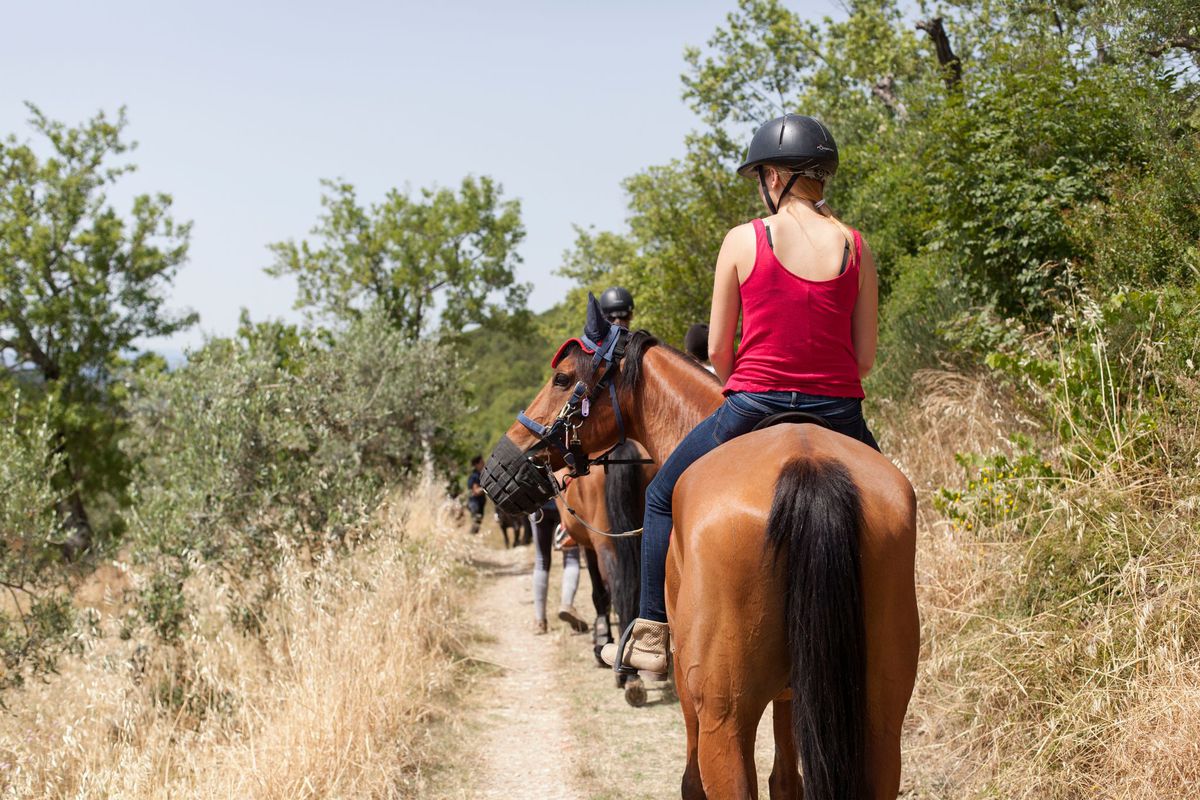 Chianti Wine Tasting Tour on Horseback from Florence