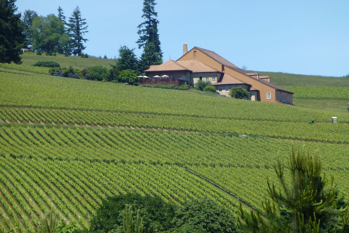 Private Willamette Valley Wine Tasting Tour from Portland