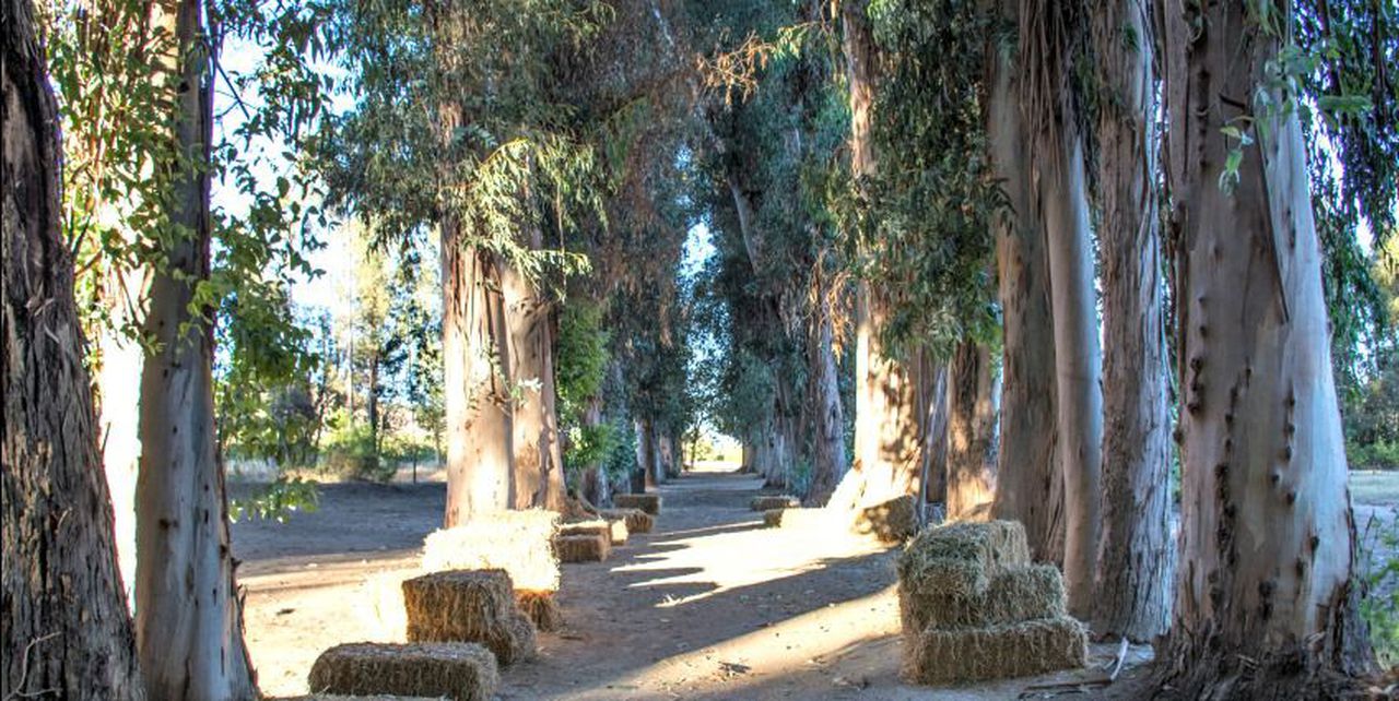 A photo of Hacienda Historica Marchigue