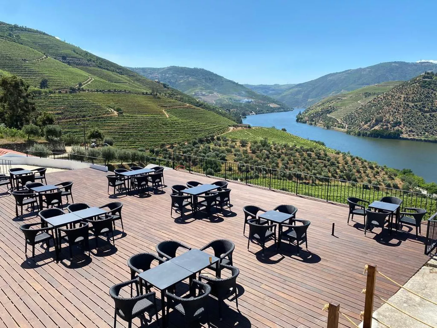 Douro Valley Wine Tour 