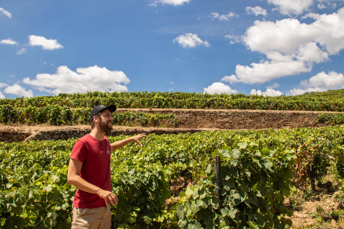 Douro Valley Wine Tour 