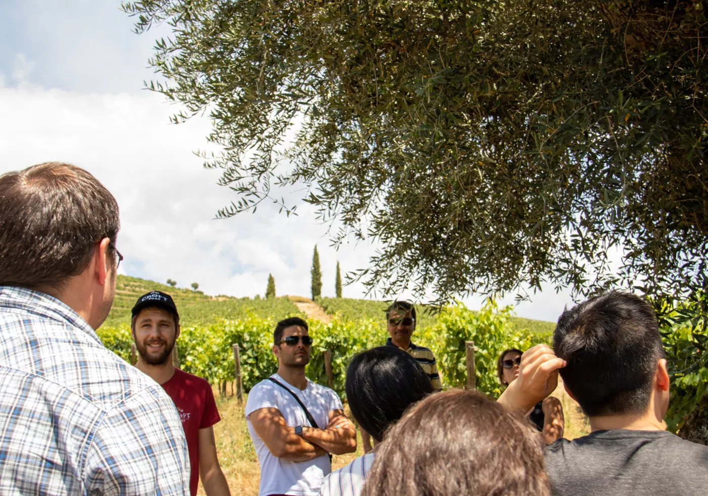 Douro Winery Tour