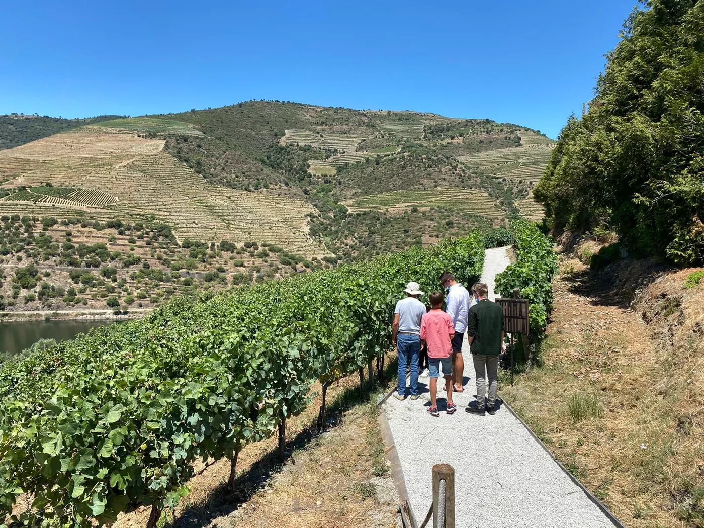 Douro Valley Wine Tour 