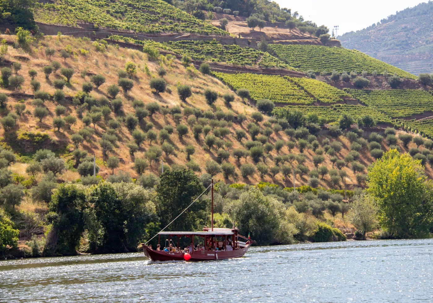 Rabelo cruise wine tasting