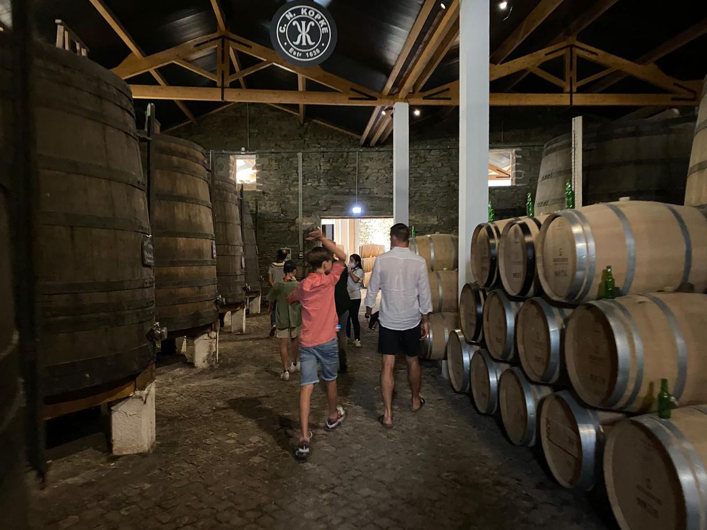 Douro Valley Wine Tour 