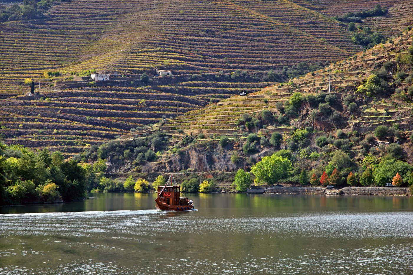 Private Douro Valley Wine Tour