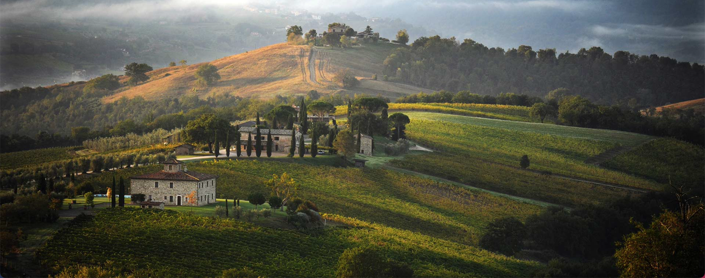 A photo of The Deluxe Umbrian Wine Tasting