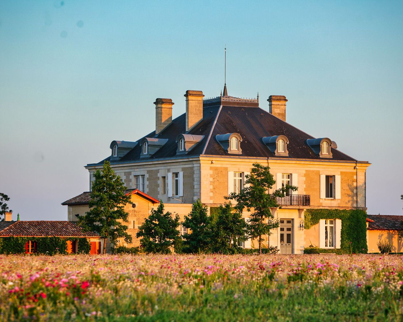 Haut bailly Chateau