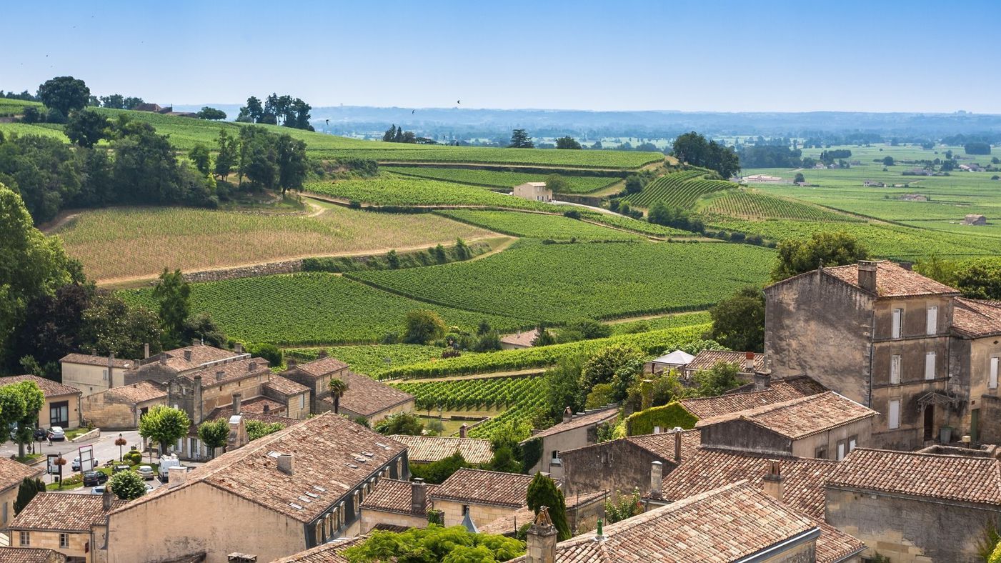 Afternoon St Emilion wine tasting