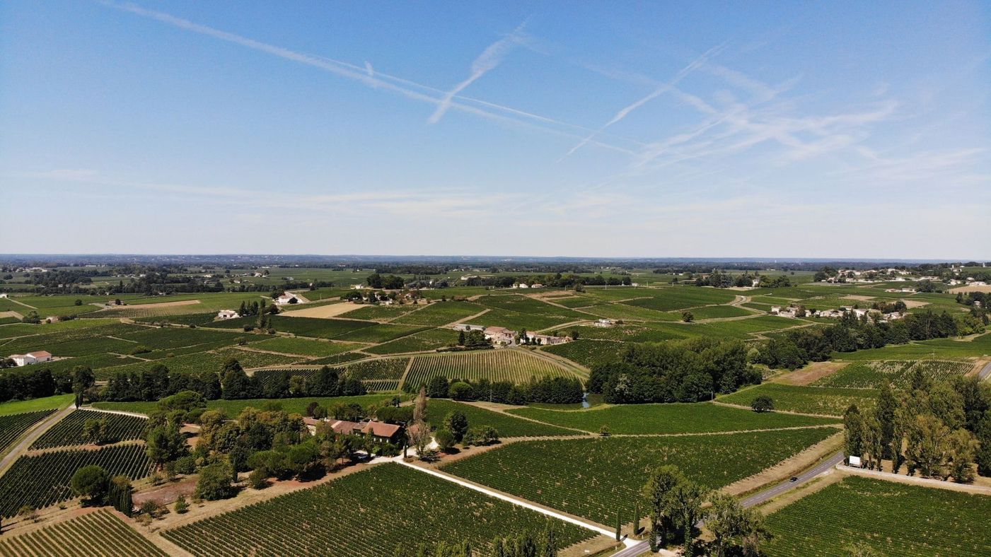 Afternoon St Emilion Vineyards