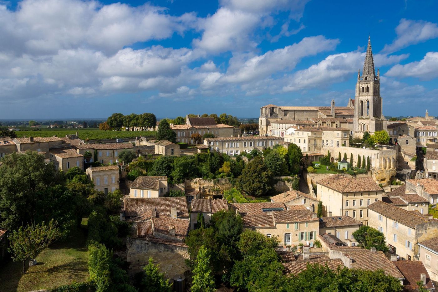 Wine & e-Bike Tour Bordeaux