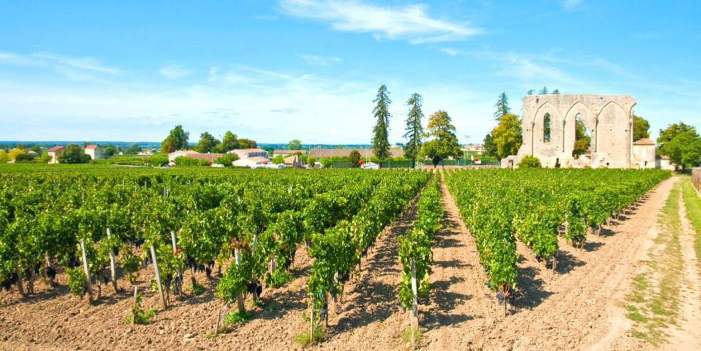 Wine & e-Bike Tour in St. Emilion