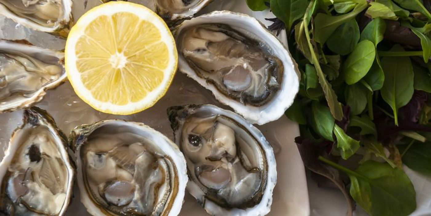 Arcachon oyster and pyla dune