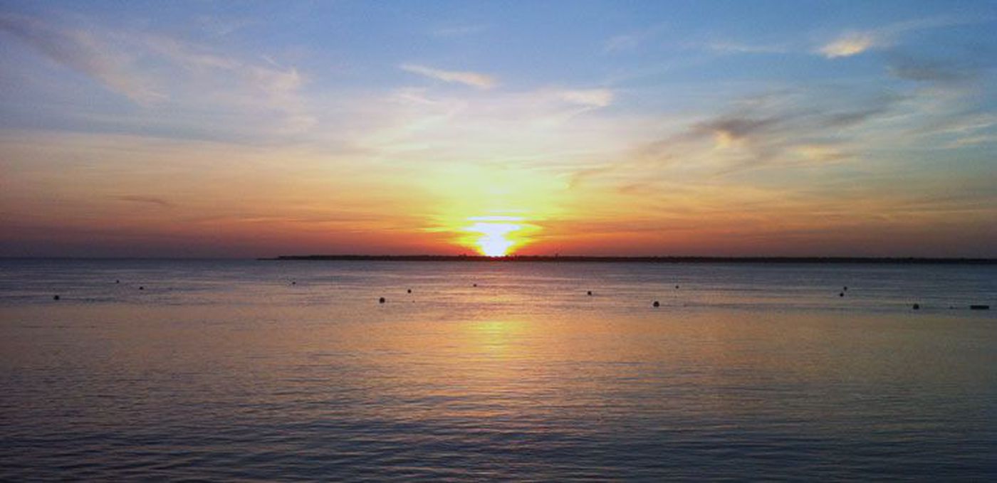 Morning in Arcachon Bay