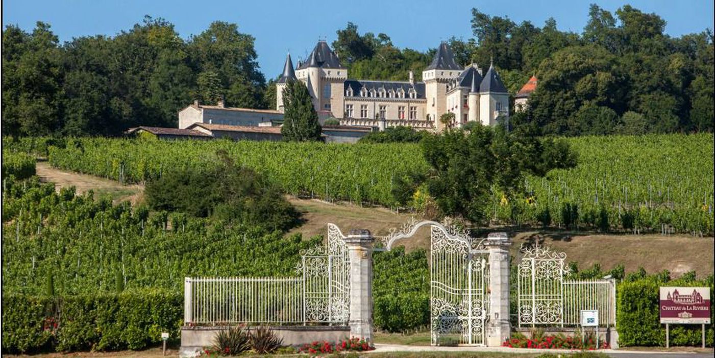 Saint Emilion chateau visit