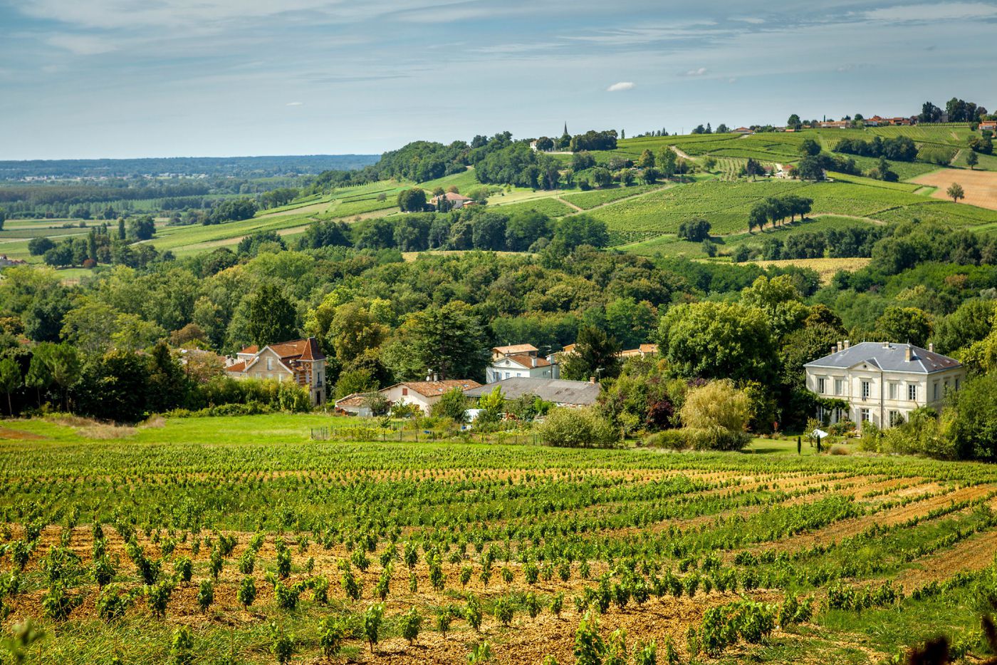 Chateaux Medoc Tour from Bordeaux