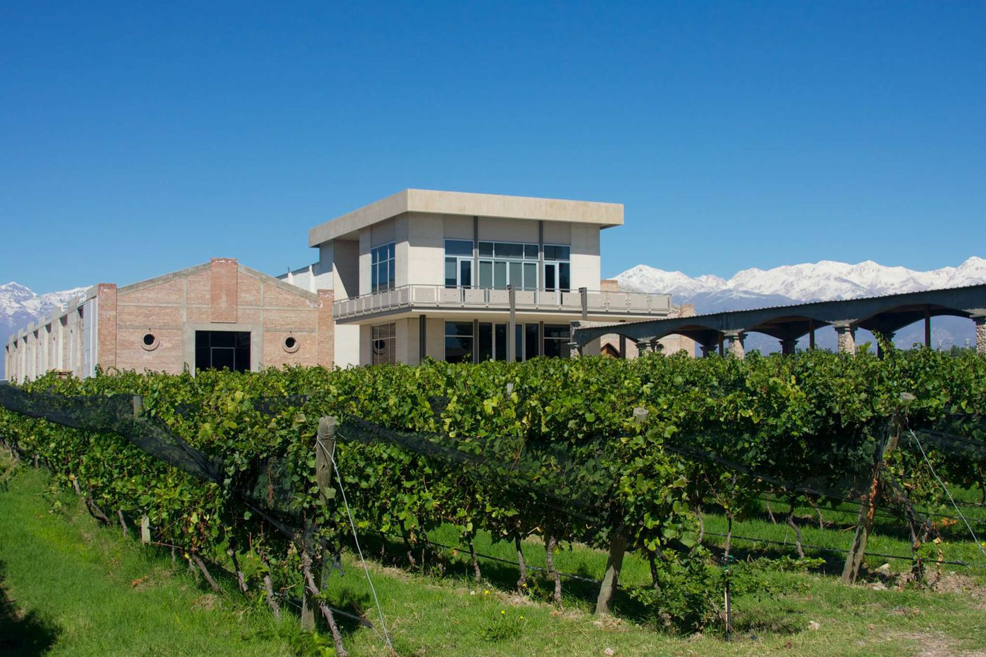 A photo of Full-Day Private Uco Valley Organic Wine Tour from Mendoza