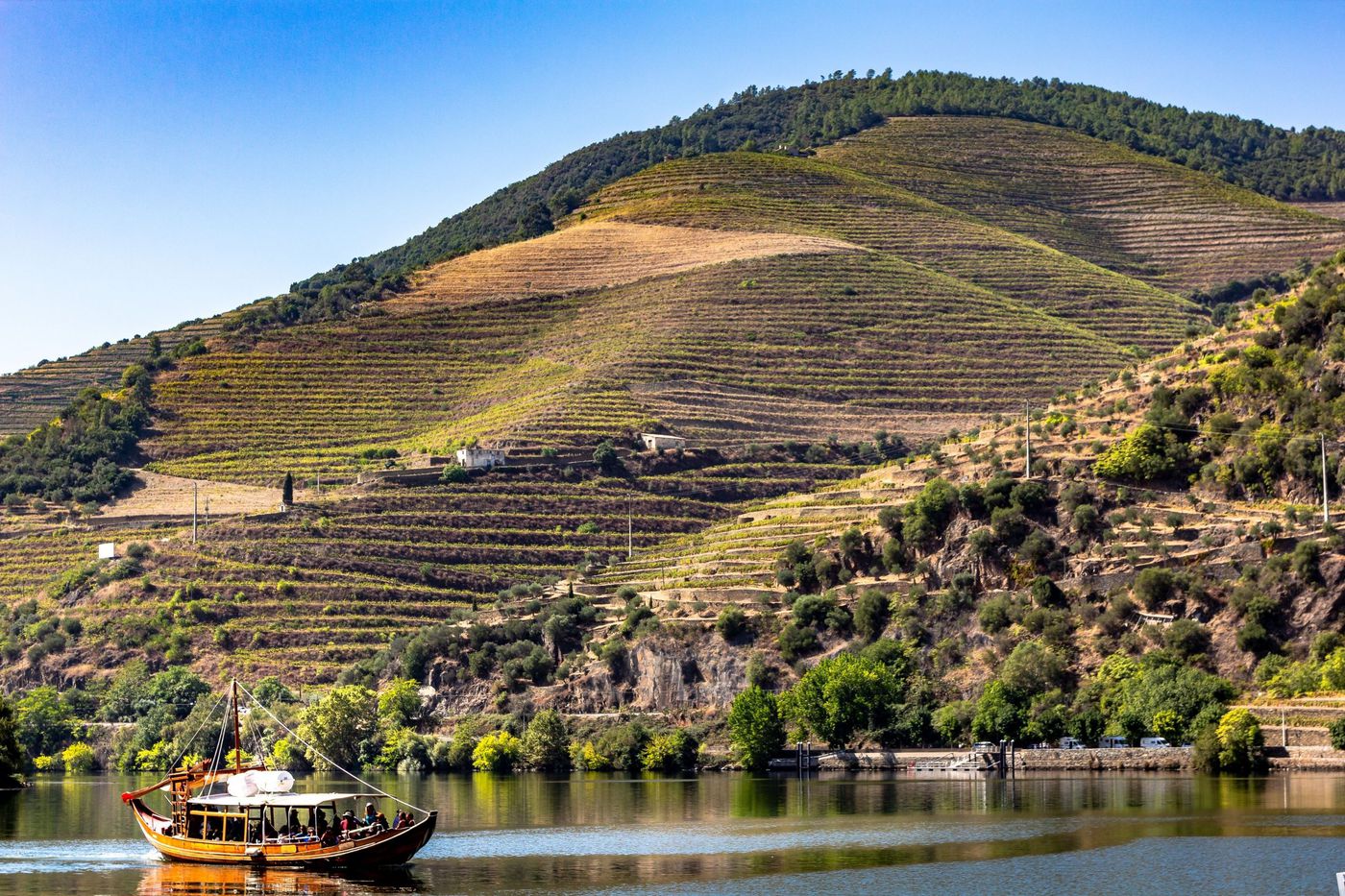 Private Douro Vineyards Tour