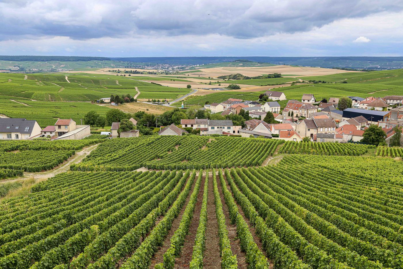 View on the vineyards of Champagne