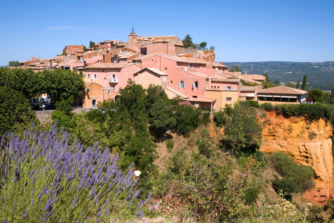 A photo of Half day lavender tour in Luberon from Avignon