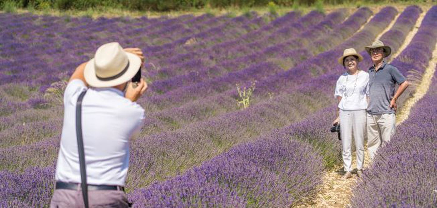 A photo of Full Day Lavender Tour in Valensole from Marseille