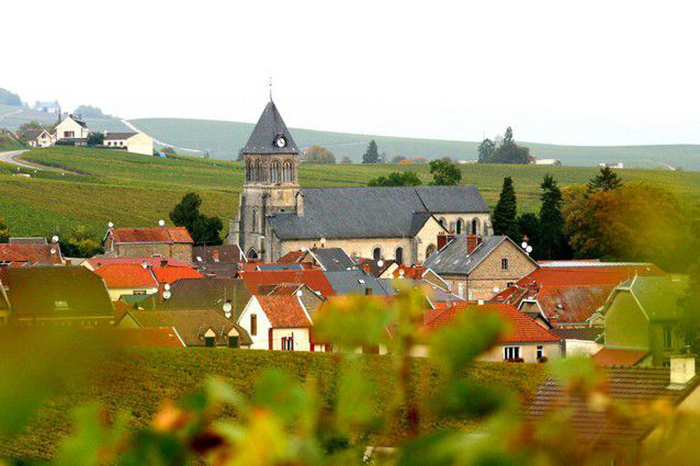 Champagne tour leaving from Reims 1