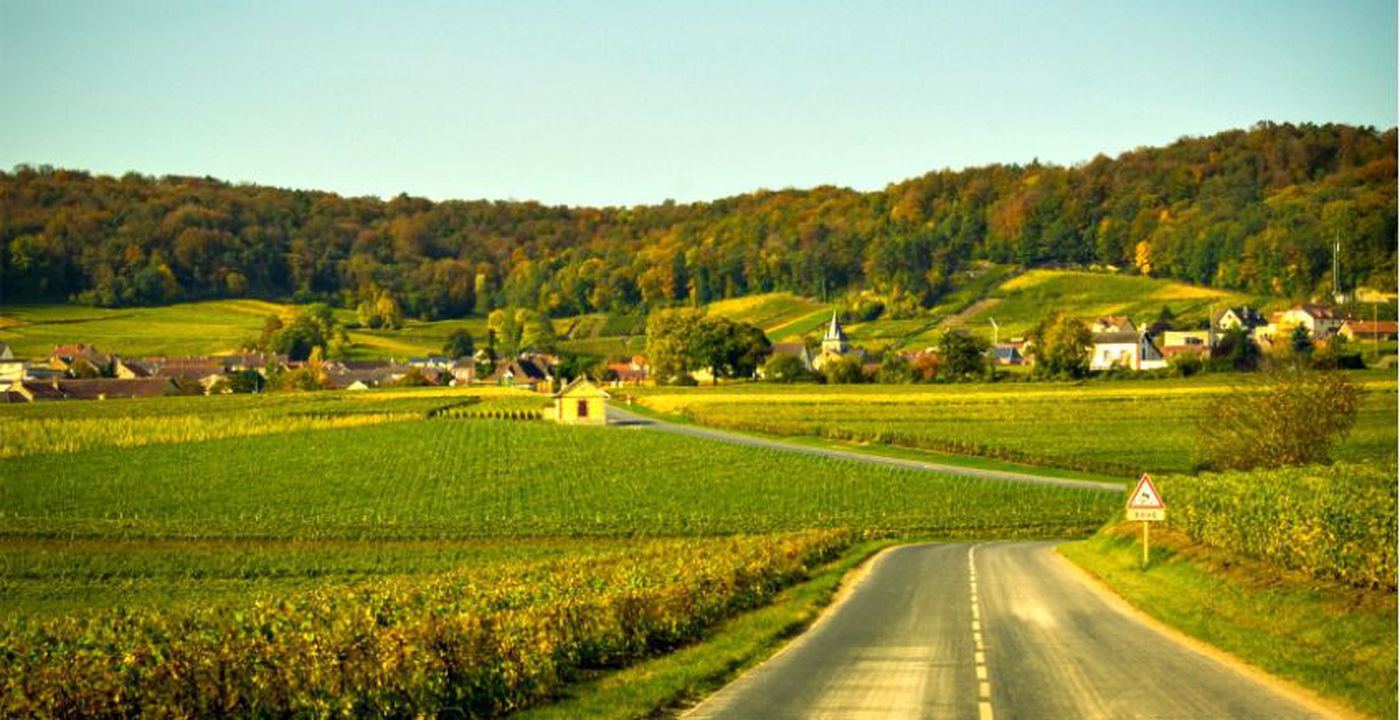 Champagne tour leaving from Reims road