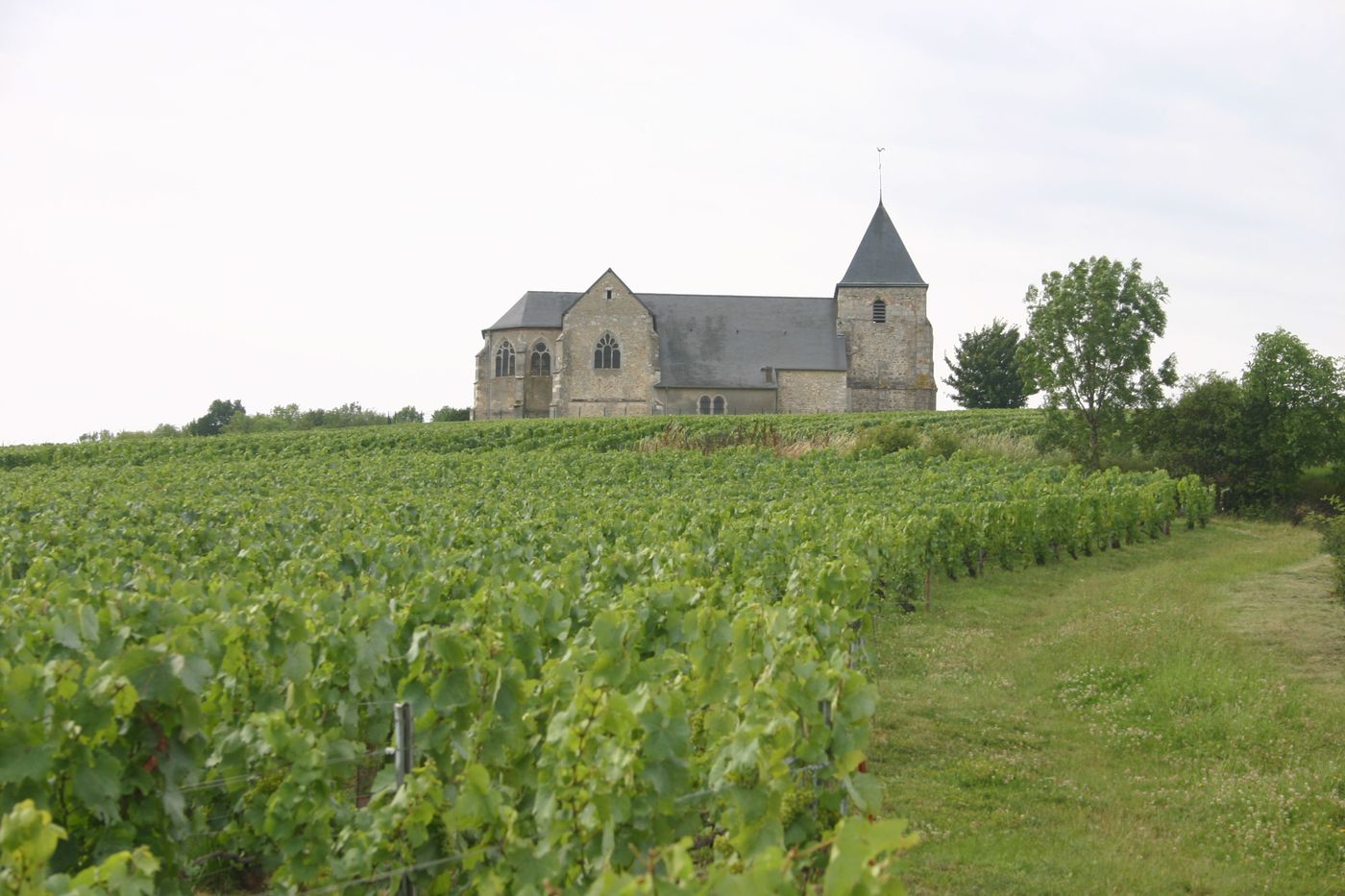 Champagne tour leaving from Reims church