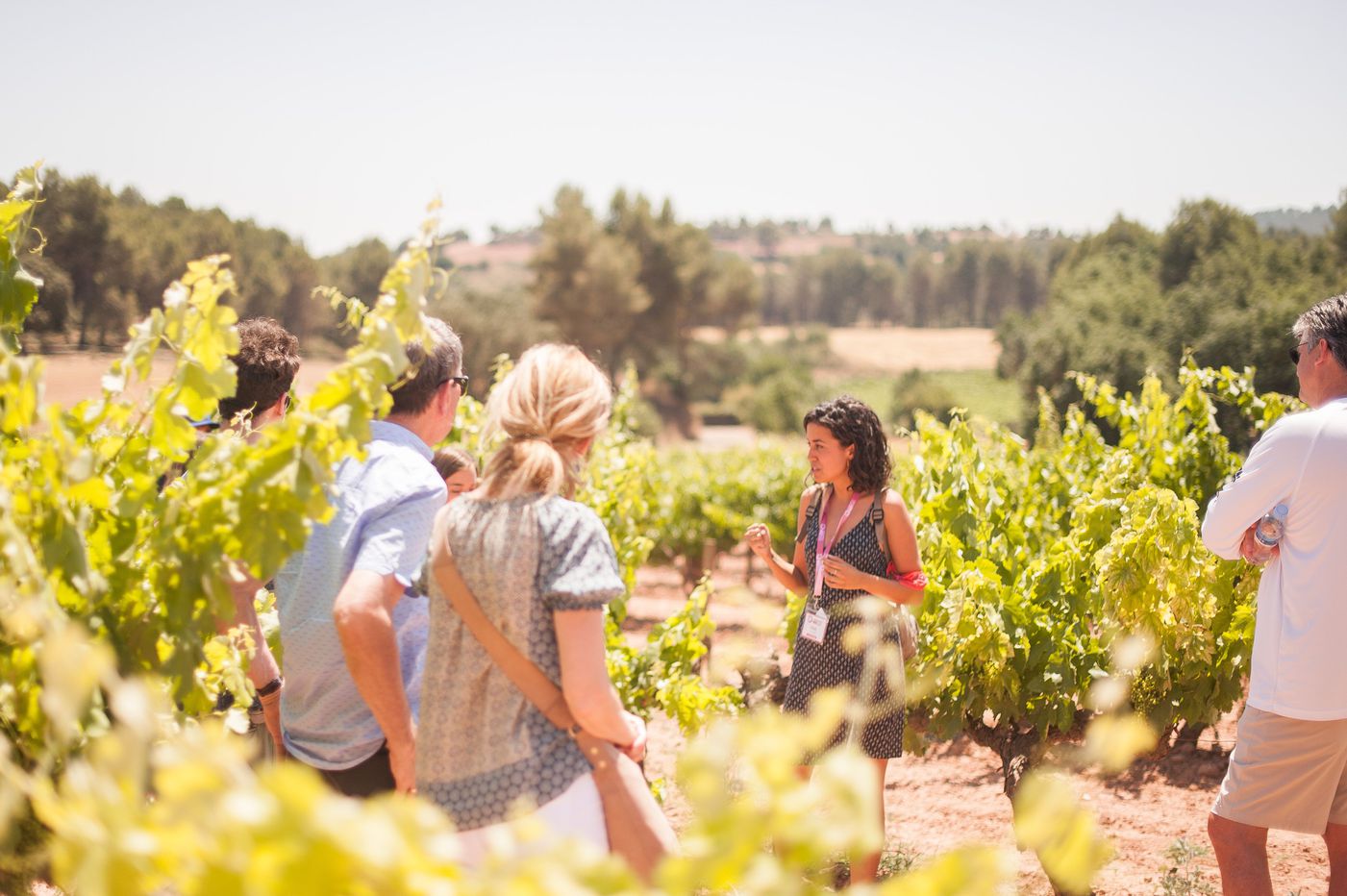 Guided Monastery and wine tour