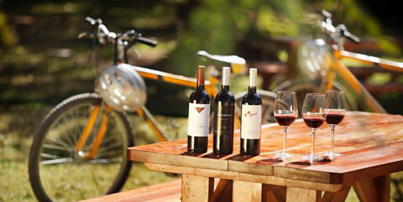 Wine cheap bike tour