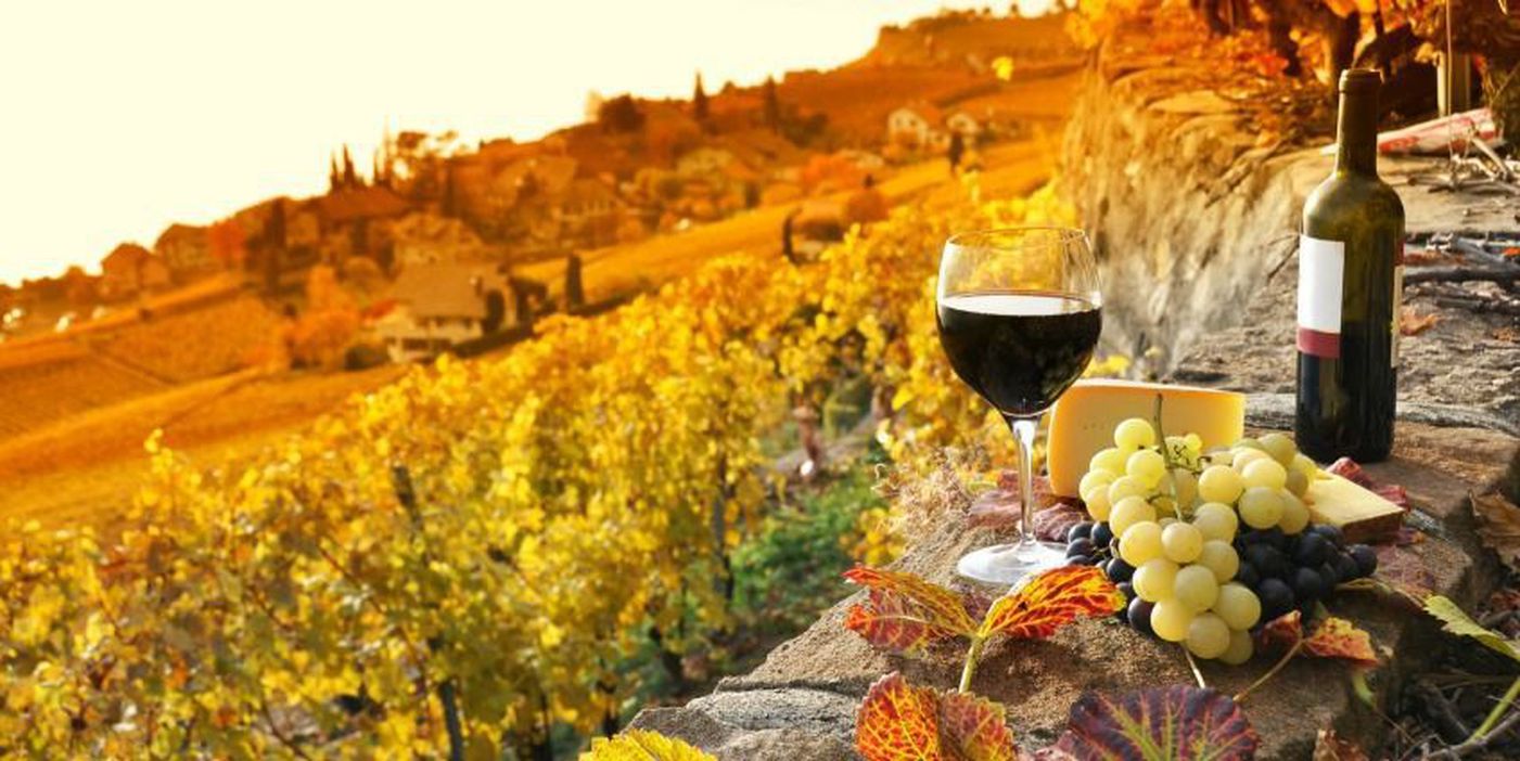 tuscany wine