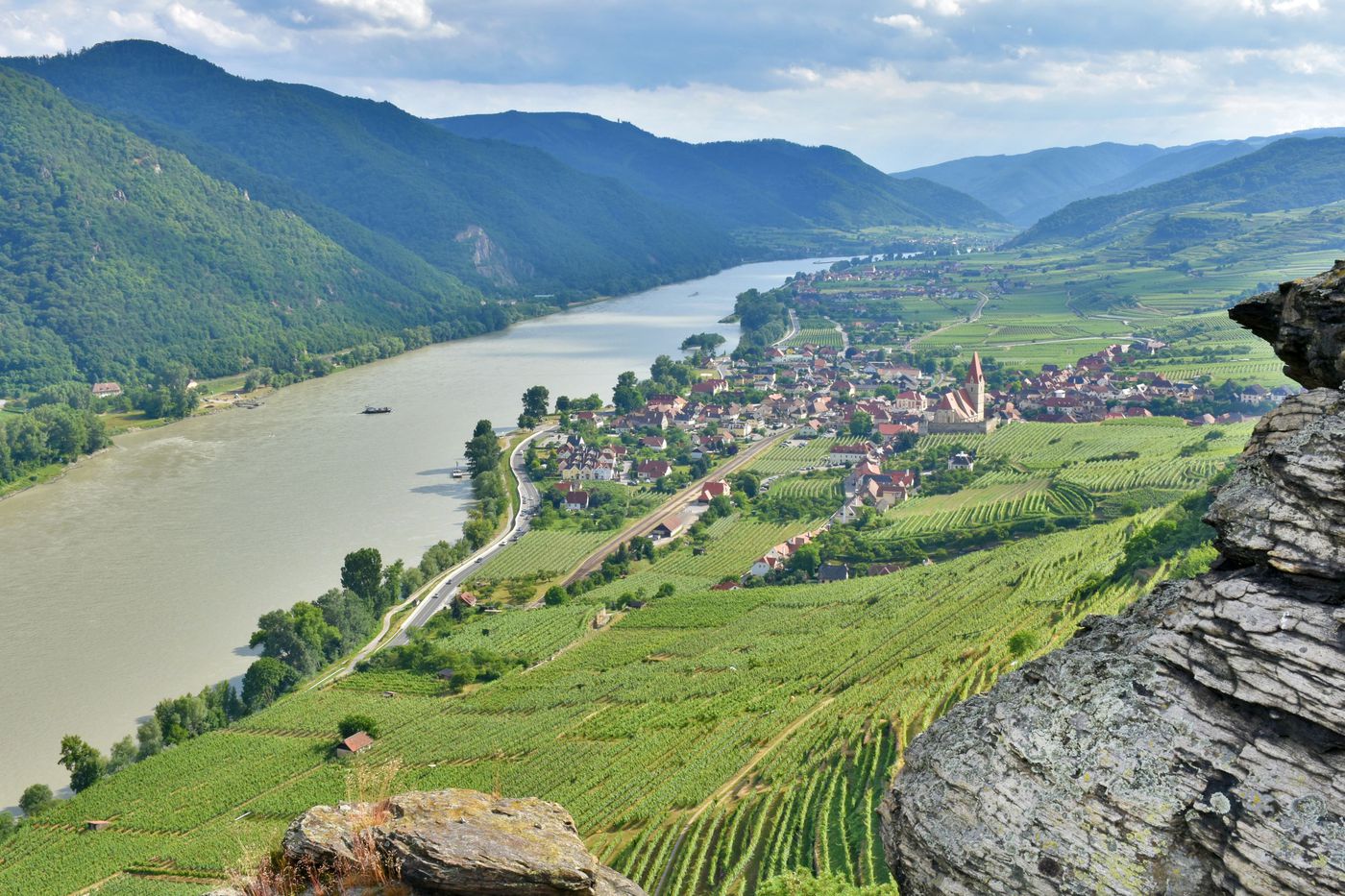 wachau valley wine tasting tour