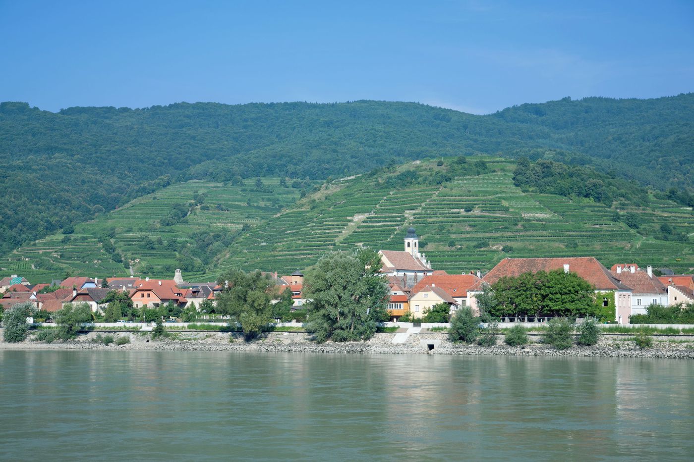 wachau valley wine tasting tour