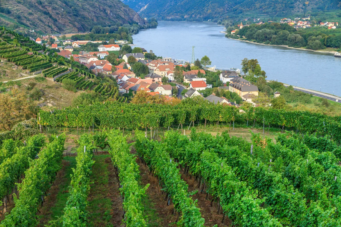 wachau valley wine tasting tour