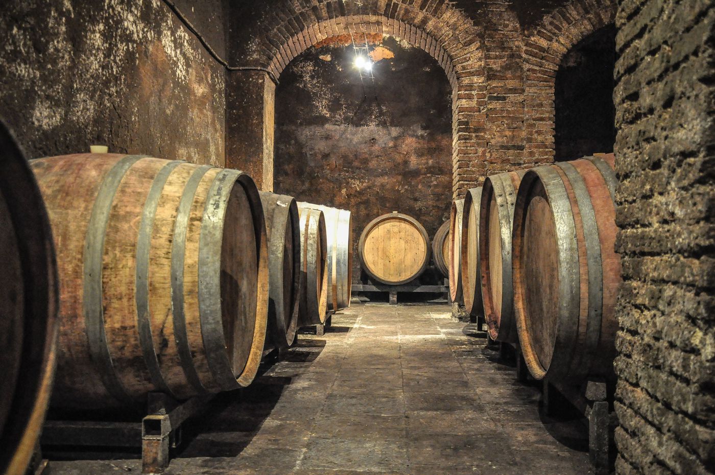 Barcelona Priorat wine tour