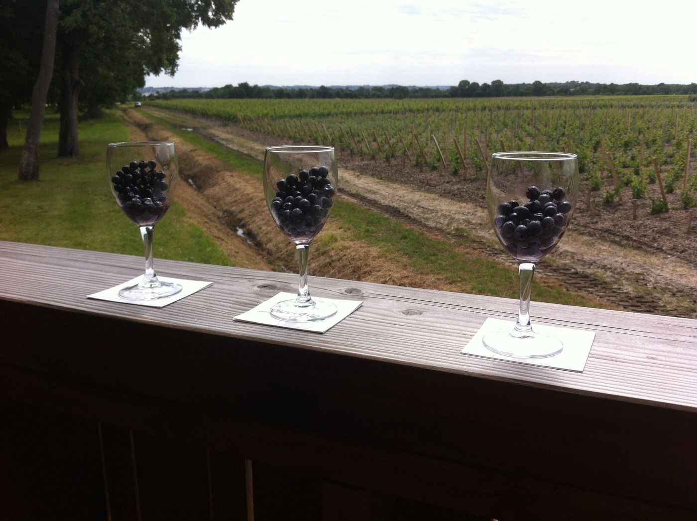 A photo of Full-Day Private Workshop in Saint-Émilion from Bordeaux: Blend Your Own Wine