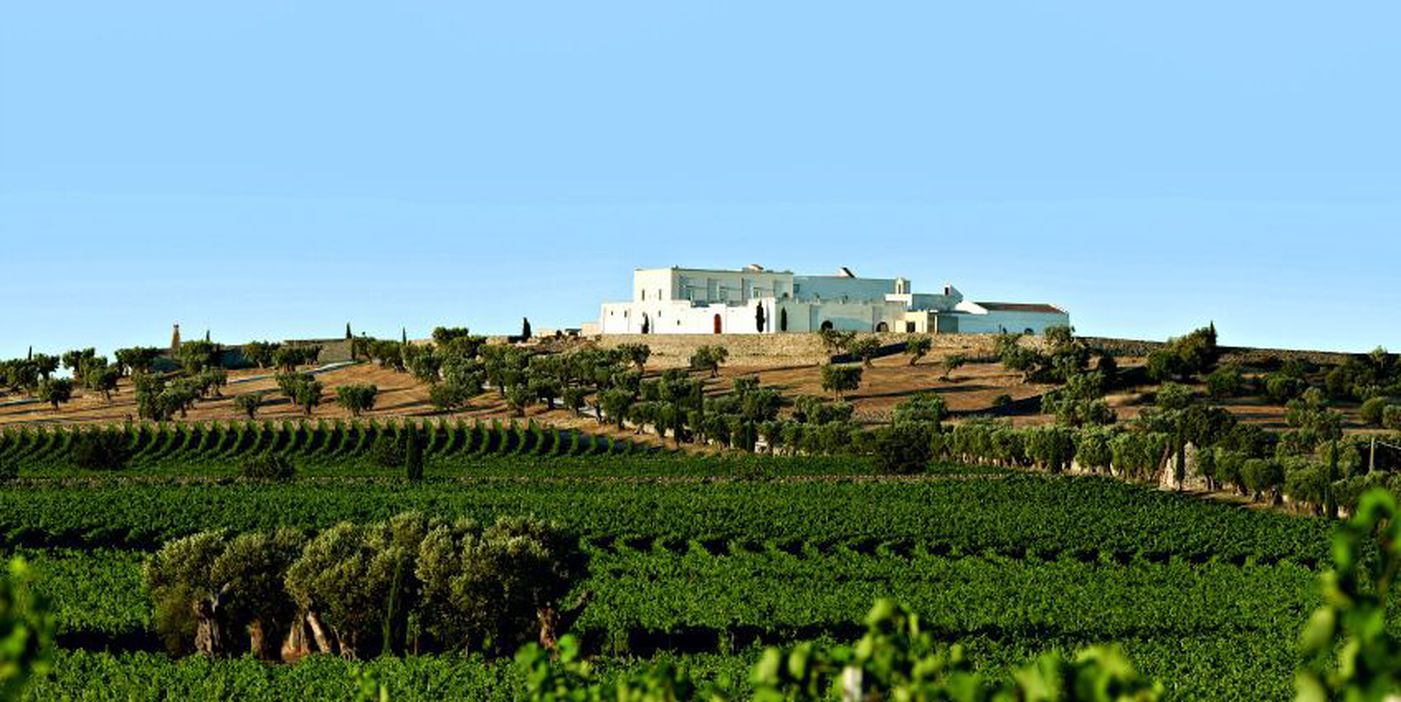 A photo of Basic Tour and Wine tasting offer