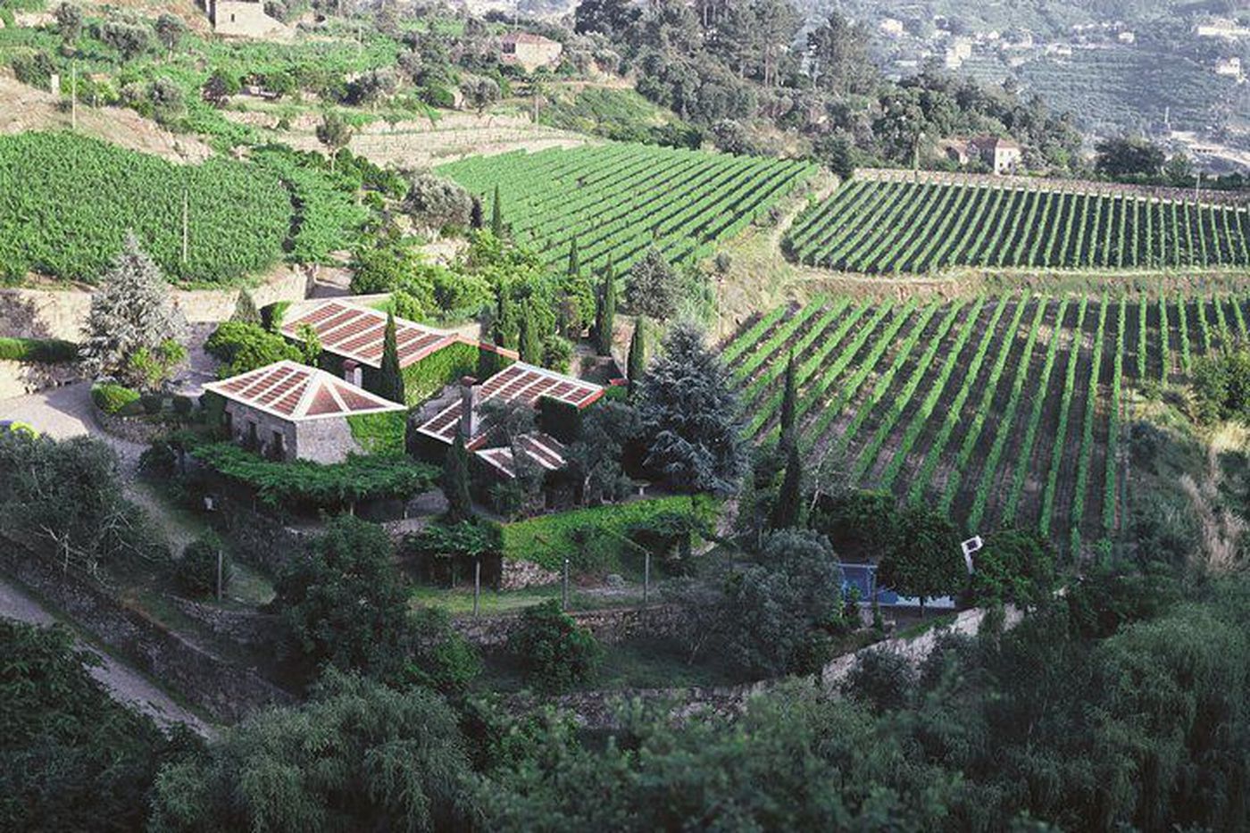 A photo of Premium Private Vinho Verde & Douro Valley Tour: Visit 3 Wineries with Wine Tasting and Lunch 