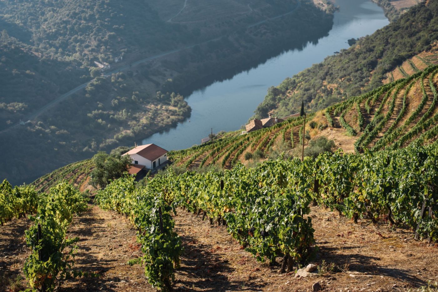 A photo of Premium Private Douro Valley Wine Tour:  Visit 3 Wineries with Wine Tastings & Lunch