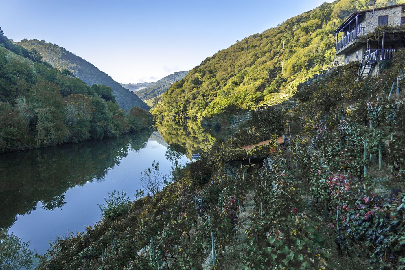 A photo of Ribeira Sacra and the"Heroic Wines" Private Tour