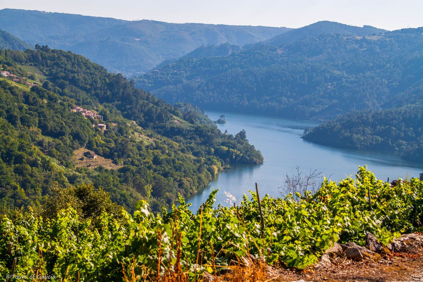 Ribeira Sacra wines