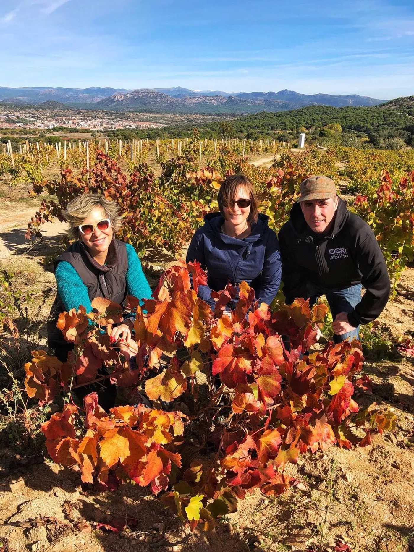 Madrid vineyard in autumn colorful wines