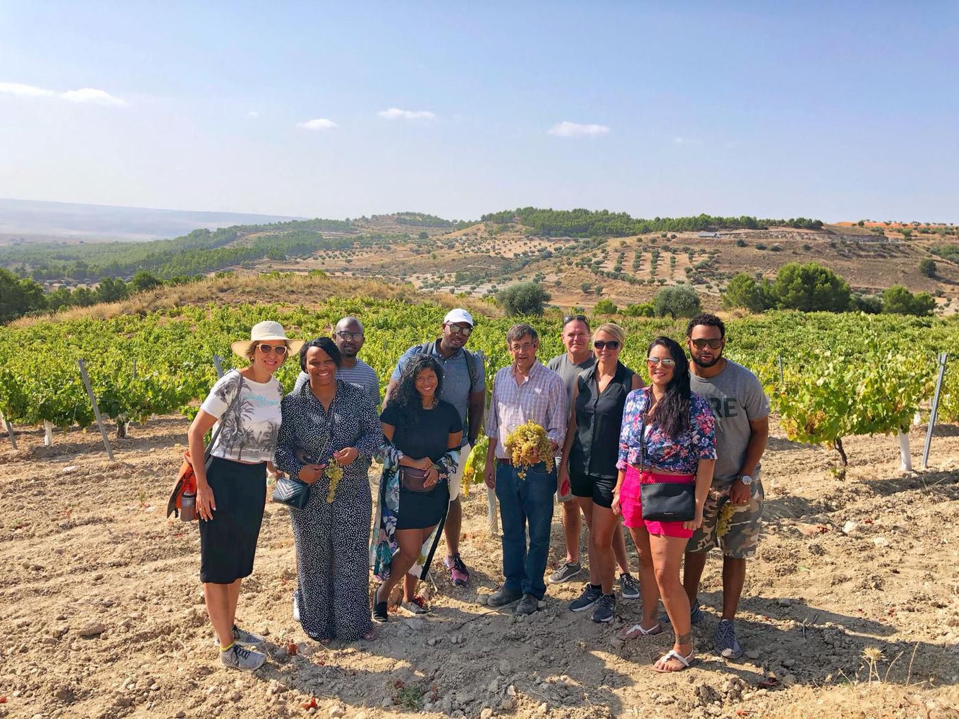 vineyard tour Madrid colorful wines